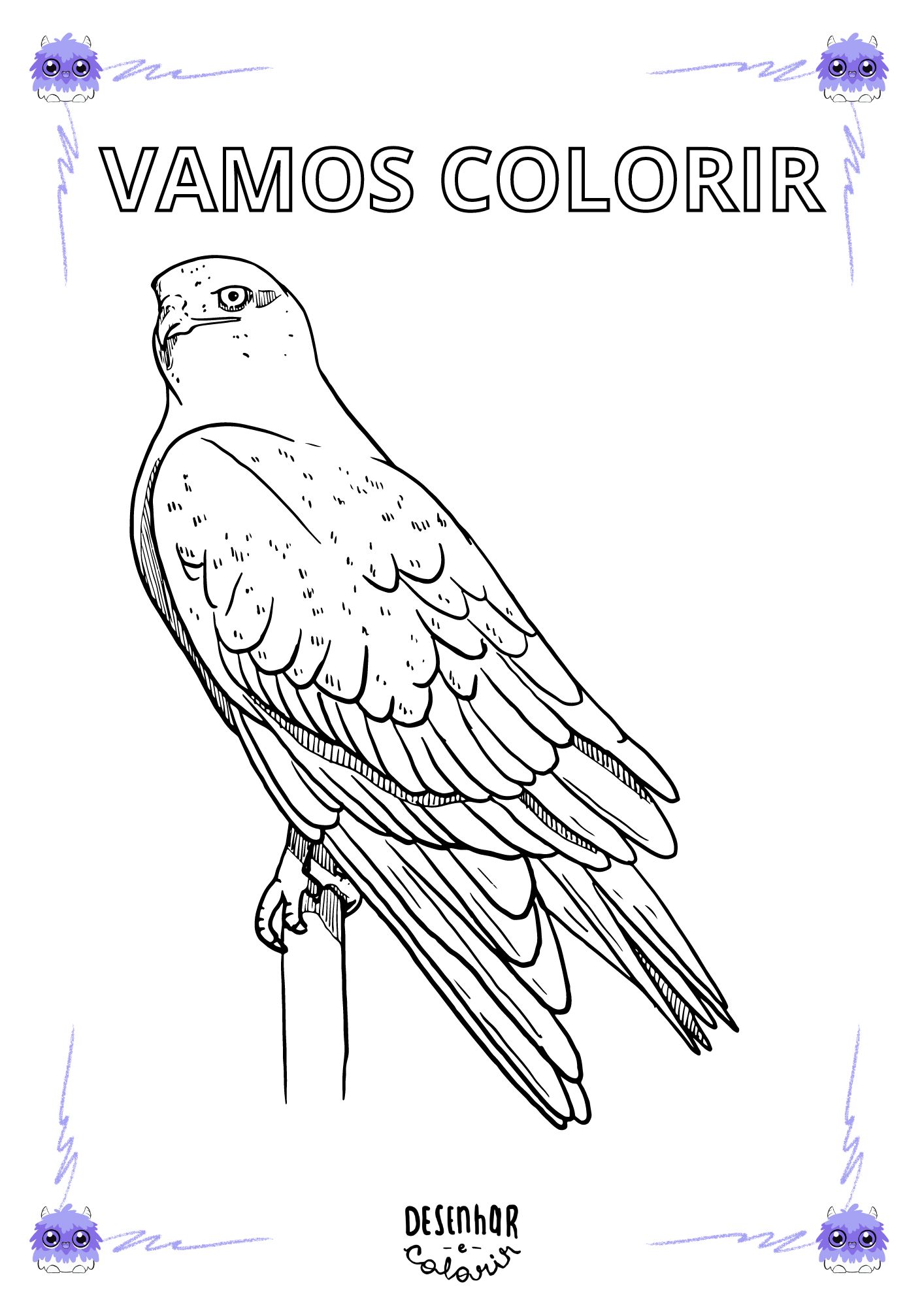 Desenho de um gavião para colorir